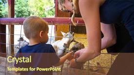  Presentation with friends - Theme consisting of curious goat watching a mother background and a tawny brown colored foreground