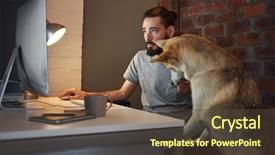  Presentation with seeking - Cool new PPT layouts with curious husky dog pet seeking backdrop and a tawny brown colored foreground