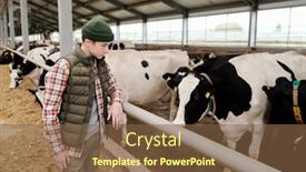  Presentation with teenage - Theme having curious-teenage-boy-in-khaki background and a tawny brown colored foreground