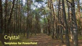  Presentation with dancing - Slides featuring curonian-spit-s-dancing-forest background and a tawny brown colored foreground