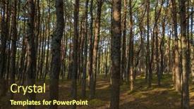 Presentation with dancing - PPT theme featuring curonian-spit-s-dancing-forest and a tawny brown colored foreground