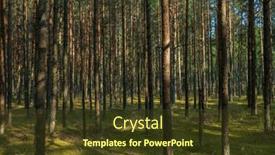  Presentation with dancing - Slide deck consisting of curonian-spit-s-dancing-forest and a tawny brown colored foreground