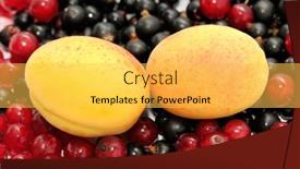  Presentation with currant - Slide deck featuring currant and apricot background and a yellow colored foreground