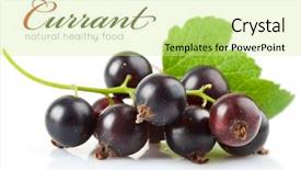  Presentation with currant - PPT theme featuring currant berries with green leaf background and a soft green colored foreground