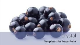  Presentation with currant - PPT layouts enhanced with currant-berry-in-closeup background and a ocean colored foreground