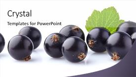  Presentation with currant - PPT theme with currant berry with leaf background and a white colored foreground