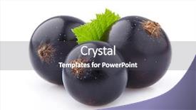  Presentation with currant - Cool new theme with currant in closeup with leaf backdrop and a dark gray colored foreground