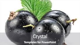  Presentation with water leaf - Presentation design featuring currant leaf and water drop background and a dark gray colored foreground