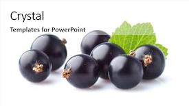  Presentation with currant - Beautiful presentation theme featuring currant with leaf backdrop and a white colored foreground
