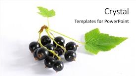  Presentation with currant - Presentation featuring currant background and a  colored foreground