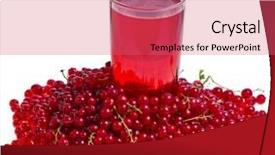  Presentation with currant black white and red - Theme having currants herbal tea - red currant drink and berries background and a  colored foreground