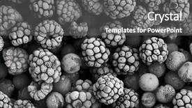  Presentation with current - PPT theme featuring current events - frozen berries in black white background and a gray colored foreground