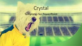  Presentation with west - Theme with curse - brazilian west highland white terrier background and a  colored foreground
