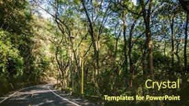  Presentation with nobody - Audience pleasing PPT theme consisting of curval-road-under-the-tree backdrop and a tawny brown colored foreground