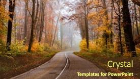  Presentation with foggy forest - Cool new slides with curvy-road-in-beautiful-foggy backdrop and a tawny brown colored foreground