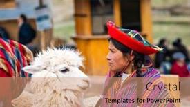  Presentation with lama - 