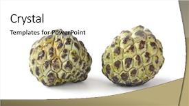 Presentation with apple - PPT theme having custard apple - two whole cherimoya background and a white colored foreground