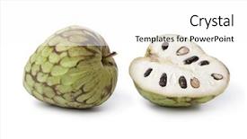  Presentation with fruit - Cool new slides with beautiful rich vivid and very colorful tulips in a farm in oregon shot on a beautiful early spring day note shallow depth of field backdrop and a tawny brown colored foreground