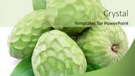  Presentation with custard apple kulfi - PPT layouts enhanced with custard-apples-isolated-on-white background and a mint green colored foreground