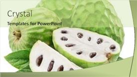  Presentation with fruit - Presentation theme with custard-apples-or-cherimoya-fruits background and a mint green colored foreground
