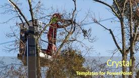  Presentation with tree spring flowers apple flowers - PPT theme enhanced with cut by the city council background and a tawny brown colored foreground