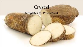  Presentation with cassava - Presentation theme enhanced with cut cassava root background and a coral colored foreground