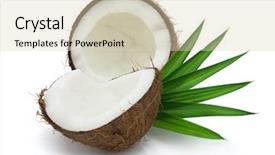  Presentation with coconut - PPT theme featuring cut coconut with leaves background and a soft green colored foreground
