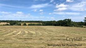  Presentation with hay field - Beautiful slide set featuring cut-grass-drying-in-lines backdrop and a coral colored foreground