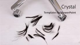  Presentation with hairdressing salon - Audience pleasing presentation consisting of cut hair on the floor backdrop and a light gray colored foreground