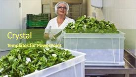  Presentation with cut - Audience pleasing PPT theme consisting of cut leafy vegetable in hospital backdrop and a tawny brown colored foreground