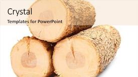  Presentation with oak tree - Audience pleasing slides consisting of cut logs fire wood backdrop and a lemonade colored foreground