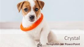  Presentation with play - 