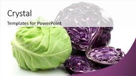 Presentation with cabbage - Slides with cut red and white cabbage background and a white colored foreground