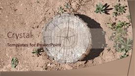  Presentation with cut - Slides featuring cut-tree-trunk-stump background and a coral colored foreground