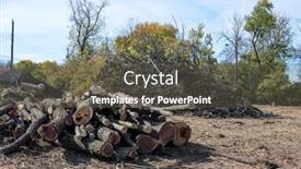  Presentation with brush - Slide set enhanced with cut-tree-trunks-with-brush background and a dark gray colored foreground