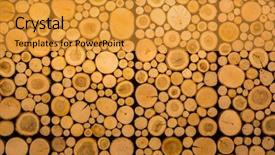  Presentation with cut - Presentation theme featuring cut wooden rings decoration wall background and a gold colored foreground