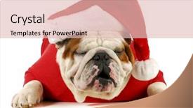  Presentation with jolly - Audience pleasing presentation consisting of christmas cute - ho ho ho santa backdrop and a lemonade colored foreground