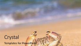  Presentation with alien - Slide deck enhanced with cute animal alien creature background and a coral colored foreground