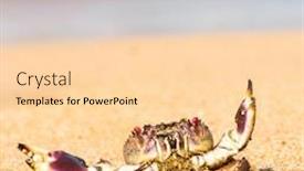  Presentation with alien - Amazing presentation design having cute-animal-alien-creature backdrop and a lemonade colored foreground