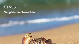  Presentation with alien - Slide deck consisting of cute-animal-alien-creature background and a dark gray colored foreground