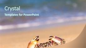  Presentation with alien - Presentation theme consisting of cute-animal-alien-creature background and a ocean colored foreground