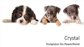  Presentation with black and white old phone - Beautiful presentation design featuring skyline of modern skyscrapers backdrop and a light blue colored foreground.