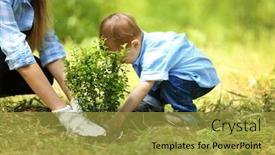 Presentation with tree planting - Slides with cute baby boy planting tree with parent in garden background and a gold colored foreground