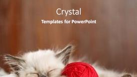  Presentation with yarn - PPT theme featuring cute-baby-cat-cozy-kitten background and a tawny brown colored foreground