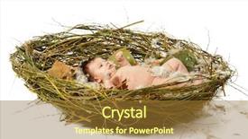  Presentation with cute baby - Presentation theme enhanced with cute baby in home nest background and a tawny brown colored foreground