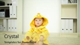  Presentation with baby chickens little cute chicks - Slide set consisting of group of five friends taking a selfie with a smartphone while eating lunch in a restaurant background and a lemonade colored foreground