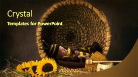  Presentation with sleeping baby - Audience pleasing PPT layouts consisting of cute-baby-sleeping-in-bee backdrop and a wine colored foreground