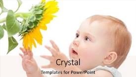  Presentation with cute baby - Audience pleasing PPT layouts consisting of cute baby with sunflower isolated backdrop and a lemonade colored foreground