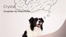  Presentation with thought - PPT layouts featuring cute black and white border collie sitting and dreaming about a bone in a thought bubble background and a lemonade colored foreground