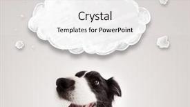  Presentation with black white - Colorful presentation enhanced with cute black and white border backdrop and a white colored foreground